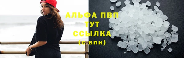 spice Белокуриха
