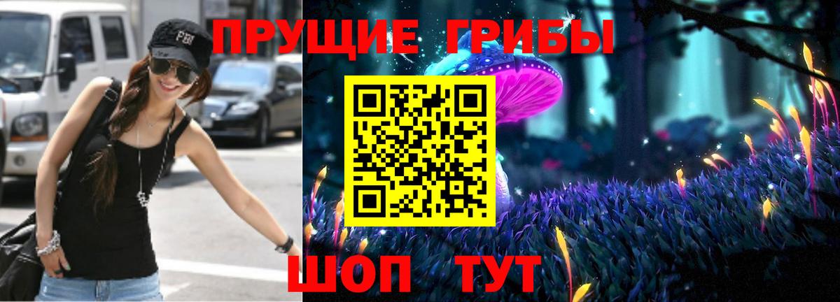 Псилоцибиновые грибы Cubensis  Вход с VPN  Губкинский  Галлюциногенные грибы Psilocybe 