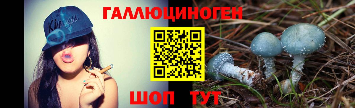 Галлюциногенные грибы Magic Shrooms Губкинский
